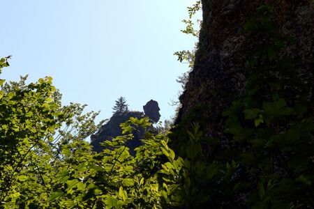 ND 600 Türkenkopf-0379-2025-06-18.jpg