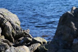 Ob klaffersee 3495 2008-07-16.jpg