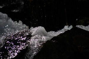 Obertalbach keinprecht 0611 2008-06-01.jpg