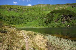 Plannersee 65286 2014-06-26.jpg