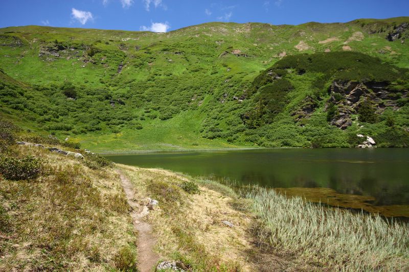 Datei:Plannersee 65286 2014-06-26.jpg