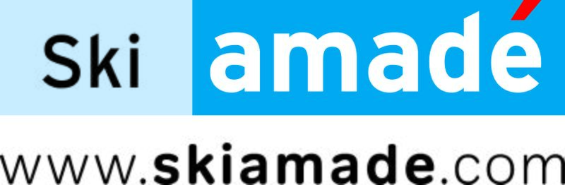 Datei:Ski amadé Logo.jpg