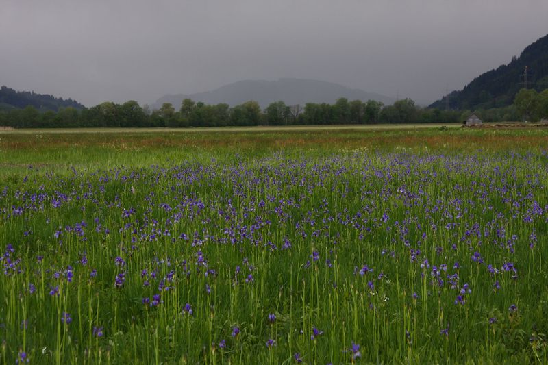 Datei:Trautenfels niederstuttern 57816 2014-05-14.jpg