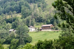 Vlg oberzelzer döllach-0250-2023-06-19.jpg