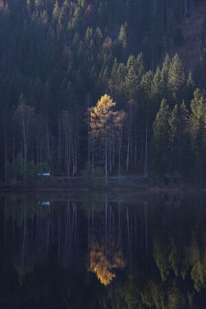 Ödensee 78088 2014-11-03.jpg