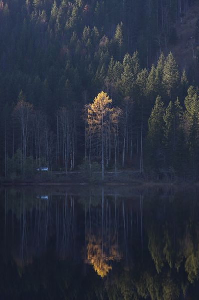 Datei:Ödensee 78088 2014-11-03.jpg