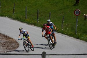 Alpentourtrophy 2014 60358 2014-06-12.jpg