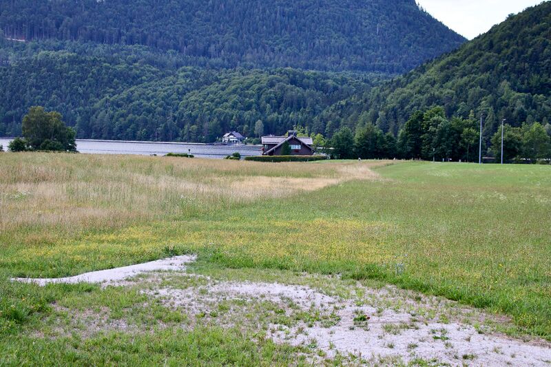 Datei:Fischererfeld Altaussee-060-2026-07-24.jpg