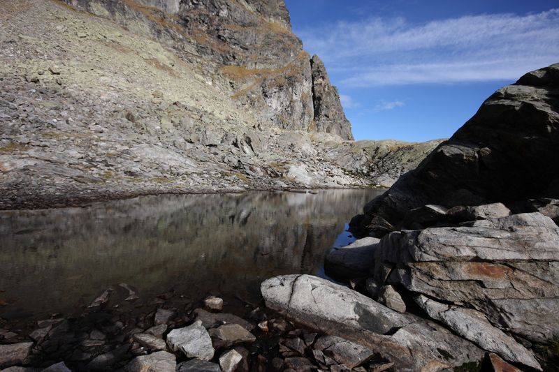 Datei:Goldlacken 0237 2013-10-08.jpg