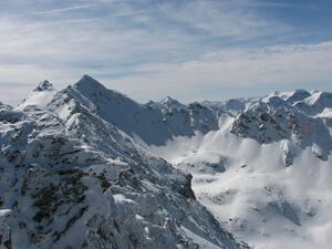 Herzmaierkar-farmrieseck 48670 2007-03-11.jpg