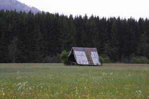 Heustadel trautenfels NP 58000 2014-05-14.jpg