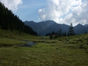 Im herzmeierkar 15404 2005-07-14.jpg