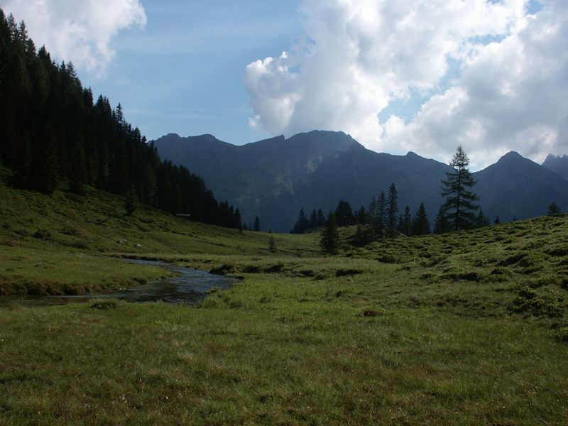 Datei:Im herzmeierkar 15404 2005-07-14.jpg