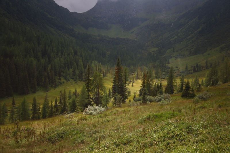 Datei:Knallkar großsölk 55640 2016-08-17.jpg