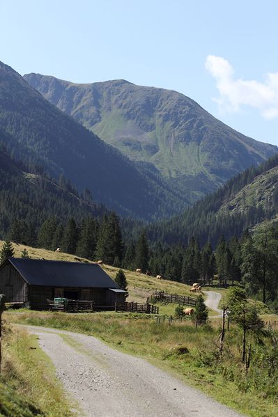 Datei:Kothütte strieglertal 54250 2017-07-21.jpg