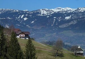 Lassinger Bergbauernhof.JPG