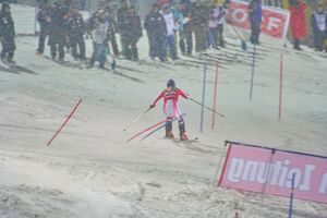 Nightrace 2009 schladming 16606 2009-01-27.jpg