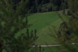 Ramsau 2083 13-09-22.jpg