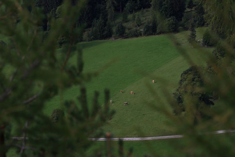 Datei:Ramsau 2083 13-09-22.jpg