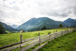 Rohrmooser Frei-1000-2012-07-14.jpg