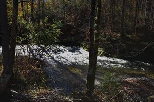 Stimitzbach grundlsee 78318 2014-11-03.jpg