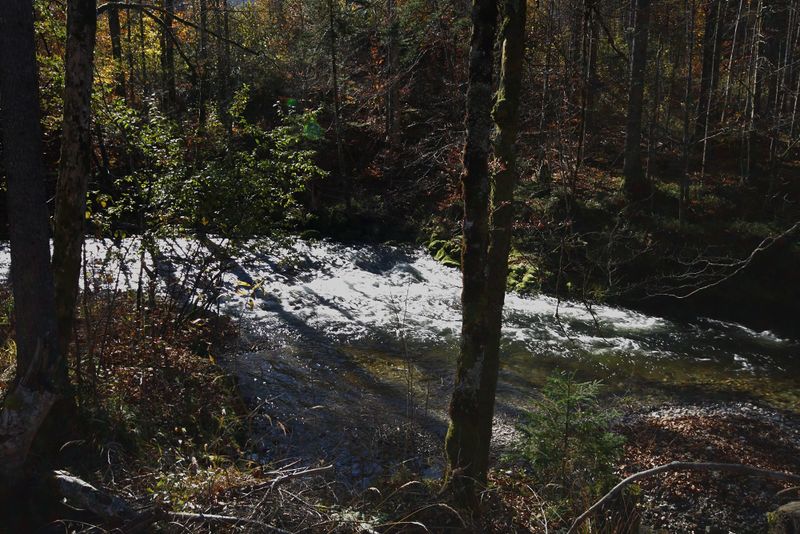 Datei:Stimitzbach grundlsee 78318 2014-11-03.jpg