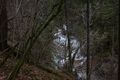 Strubschlucht 34569 2014-01-20.jpg