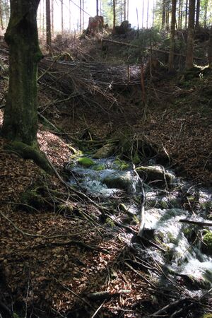 Strummern mühlreith 47240 2017-05-17.jpg