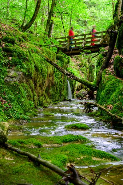 Datei:Triftkanal Kammersee Manuel Capellari.jpg