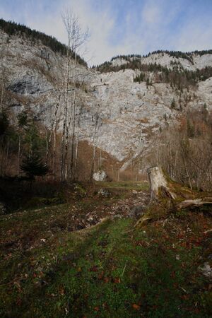 Altaussee seewiese 79060 2014-11-15.jpg
