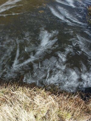 Bergseen himmelreich-giglach 8071 2005-10-11.jpg