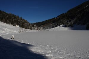 Bodensee 26542 2014-01-01.jpg