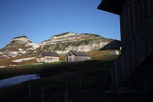Bräuningalm 50229 2017-06-11.jpg