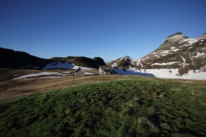 Bräuningalm 50562 2017-06-11.jpg