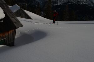 Gössleralm-salzofen 2622 2008-02-04.jpg