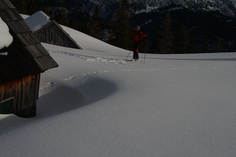 Datei:Gössleralm-salzofen 2622 2008-02-04.jpg