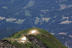Gasselhöhe -reiteralm 02954 2019-06-28.jpg