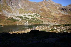 Grünsee-großsölk 1172 2013-09-25.jpg