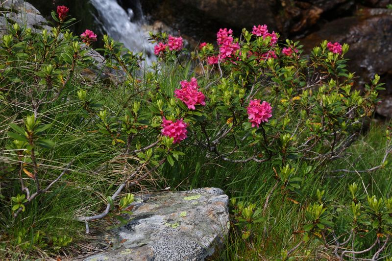 Datei:Herzmaierkar 32477 2011-07-06.jpg