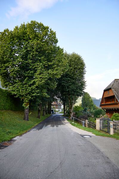 Datei:Lindenallee Irdning-011-2026-08-08.jpg
