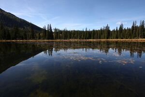 Miesbodensee 40525 2012-10-05.jpg