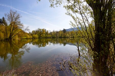 Ofenlegerteich-300066-2023-05-07.jpg