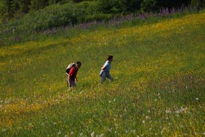 Planai 25915 2010-07-03.jpg