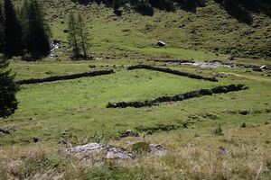 Tuchmoaralm 0147 13-09-05.jpg