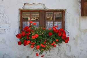 Weissenbach haus 0062 13-09-05.jpg