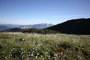 Gumpenkar 53233 2017-07-05.jpg