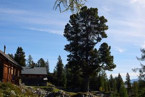 Handleralm Straßen-BA-0148-2023-09-17.jpg