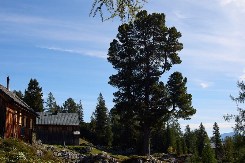 Datei:Handleralm Straßen-BA-0148-2023-09-17.jpg