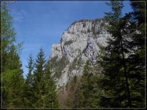 Himbeerstein ( 13.04.24 ) 098.jpg