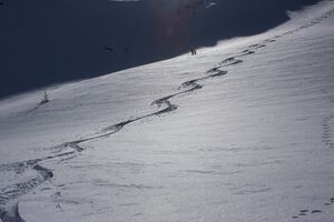 Lämmertörlkopf 43764 2014-02-26.jpg